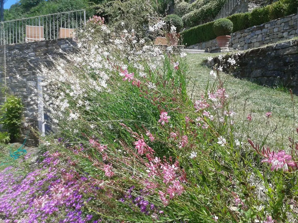 Villa Migliorati Vaiano  Semesterbostad Vaiano (Tuscany)