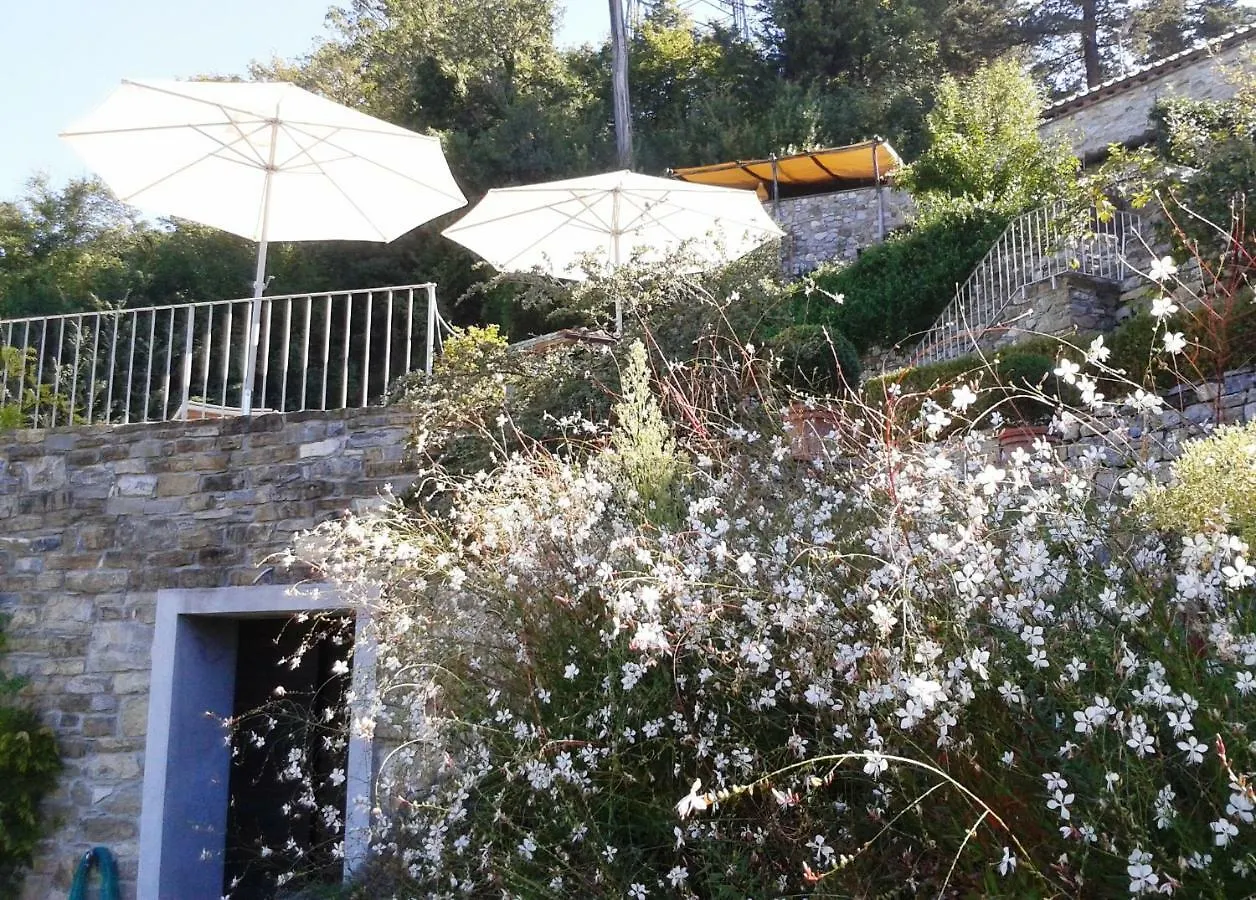 Villa Migliorati Vaiano  Vakantiehuis